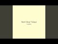 Storm Silver Tranquil
