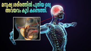 മനുഷ്യ ശരീരത്തില്‍ പുതിയ ഒരു അവയവം കൂടി കണ്ടെത്തിയിരിക്കുന്നു ! New Glands Found In The Human Body !