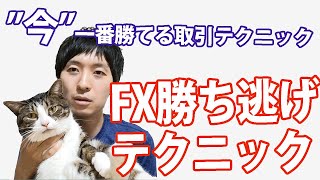 一番勝てるFX【勝ち逃げテクニック】解説