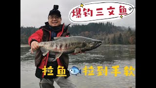 温哥华河钓三文鱼 Stave River Fishing