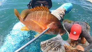 GARANTI O ALMOÇO -CAÇANDO E COMENDO - PESCA SUB (CATCH AND COOK)