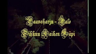 Paavoharju - Valo Tihkuu Kaiken Läpi (lyrics)