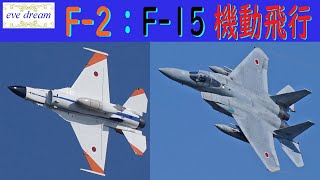 岐阜基地航空祭　機動飛行　F-2：F-15