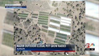 C.O. drug agents dismantle major illegal marijuana grow in Alfalfa, run by Mexican cartel