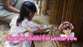 เที่ยวคาเฟ่ฟาร์มผักออร์แกนิค เก็บไข่ไก่ที่ All Weather Farm บางขุนเทียน || Happy Fairy Much || Clip