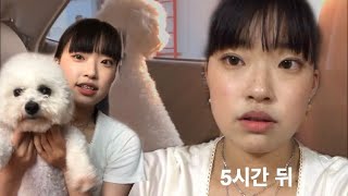 친구네 강아지 맡아주는 개힘든 vlog