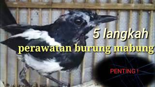 Playtube Pk Ultimate Video Sharing Website