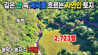 [NO. 611] 깊은 산속 계곡물 흐르는 자연인토지로 농막과 넓은 농지 포함하여 1억대 급매물로 매도하는 강원도 정선군토지매매