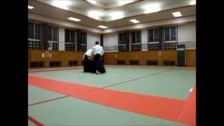 Kosuke Arai_Gunma Aikido Federation 2013