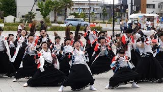 鴉 2017の演舞 めちゃめちゃかっこいいぞっ！ちばYOSAKOIお披露目会