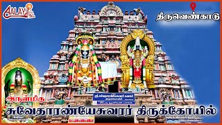 அருள்மிகு சுவேதாரண்யேசுவரர் திருக்கோயில் திருவெண்காடு | Shivan Vazhipadu |  #omnamahshivaya #bakthi