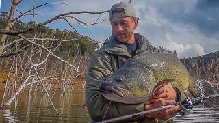 Clearwater Impoundment Murray Cod - Big Baits For Heavyweights