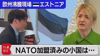 「ロシアの行為はジェノサイド」「ロシア原油停止は戦争より安い」エストニア外相単独インタビュー【中村ワタルの欧州沸騰現場】#85（2022年5月17日）