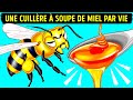 Comment Et Pourquoi Les Abeilles Font Du Miel (Et Autres Faits À Leur Sujet)