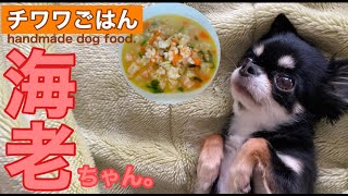 「毎日チワワごはん～海老編」10分でできる海老と発芽玄米の雑炊【handmade dog food】