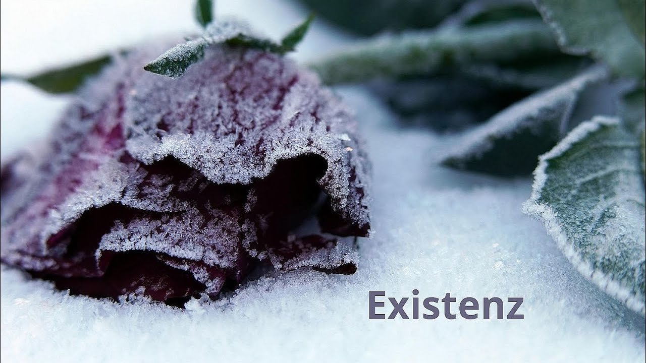 Existenz Youtube