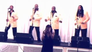 Tina Turner - Proud Mary - Performance By Chicago's Own Sensational "High Performance" Vocal Group