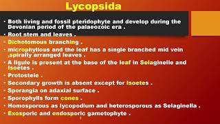 subdivisions Lycopsida sphenopsida pteropsida Bsc part 1 paper 3