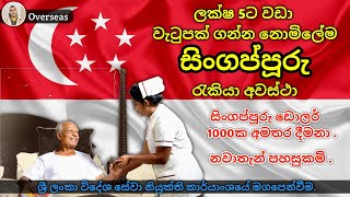 Singapore Free Job VISA (සිංගප්පූරුවේ නොමිලේ රැකියා අවස්ථා 2023.)Apply now. Salary  Rs.500000/=