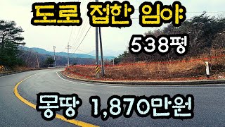 2차선 도로에 붙어 있는 임야 538평 몽땅 1870만원 #부동산경매