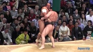 大相撲秋場所千秋楽( 白鵬 vs 日馬富士)日馬富士全勝優勝