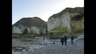 Palaeontology of the Cretaceous Chalk