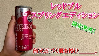 [限定]レッドブルスプリングエディションを飲んでみた！