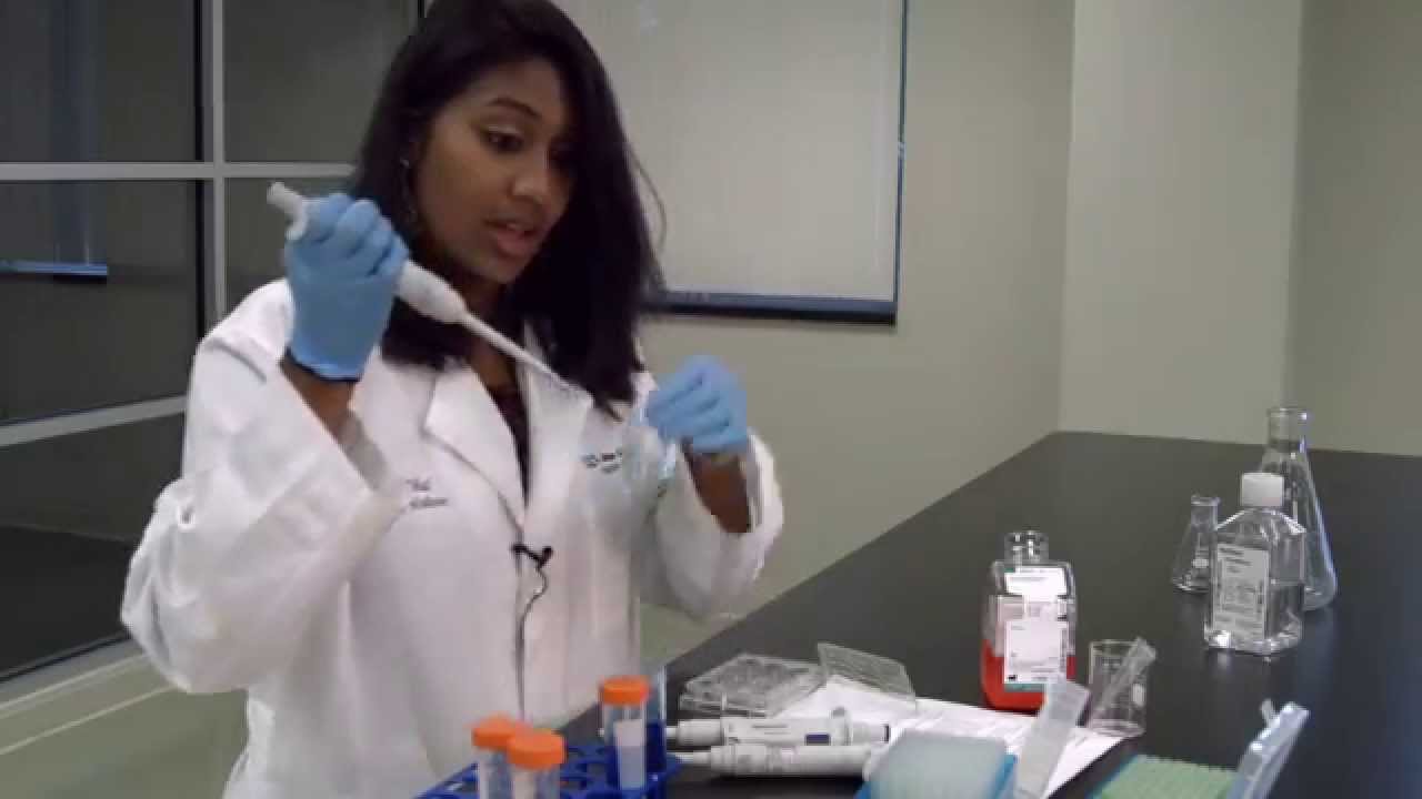 Micropipetting Technique Youtube