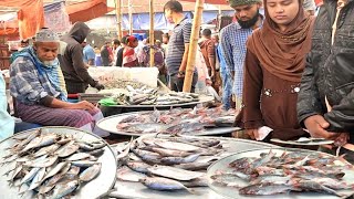 সাগরের টাইগার চিংড়ি,ক্যান্ডি,হিডা, পোয়া,চ্যলা | আরও আছে বিভিন্ন ধরনের মাছ | Fish Market Savar