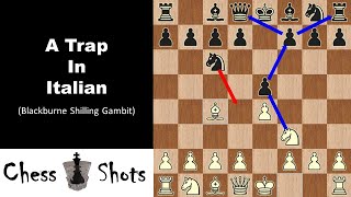 A Trap in Italian?! Muhlock vs Borislav Kostic (1911) - Chess Shots