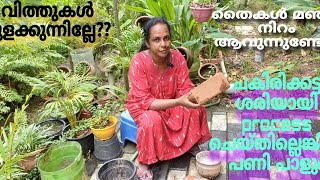 ചകിരിക്കട്ട ഇങ്ങനെ കറ കളഞ്ഞില്ലെങ്കിൽ പണി പാളും | PROCESSING COCOPIT |EP NO. 115