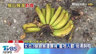 女台3線餵猴遭襲背 當地人勸\