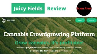 Juicy Fields review (Don't believe the hype. It's a Ponzi)