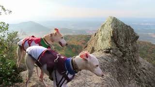 山ん歩/三草山（加東市）から播州清水寺で紅葉