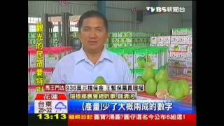 傳花蓮柚假冒台南麻豆　每斤漲20元