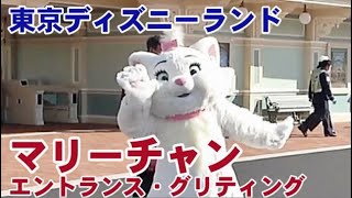 マリーちゃんのエントランス・グリーティング　東京ディズニーランド　2022/1/25 (火)撮影