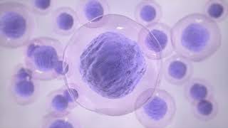 Cells Healing - Heal immune system and live from the heart - Guided meditation