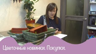 Цветы - новинки. Горшки - покупки.