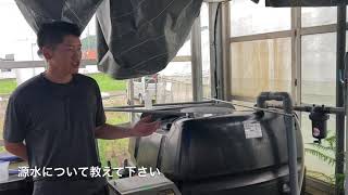 鷲見苺園ピュアキレイザー導入事例_岐阜県