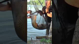 58 pound carp!!! - ‘Catch the Trophy’ on Fishing TV