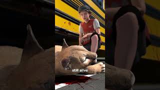 A Mountain Lion Attacked A School Bus