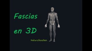 Description Anatomique des Fascias en 3D (Naturosoutien)