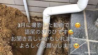 【DIY主婦】排水管や雨水升についての質問です