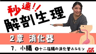 【秒速ナース】2章 消化器7-5 小腸十二指腸消化管ホルモン【解剖生理-授業動画】