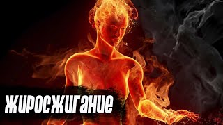 Сжигание жира #3 - основной обмен, разбор диет, инструментарий