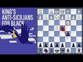 King's Anti-Sicilians for Black - Jobava vs Nisipeanu | Pardubice 2021