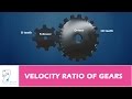 VELOCITY RATIO OF GEARS