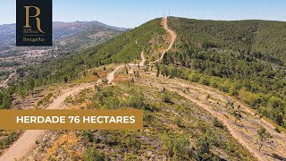 Herdade com 76,55 hectares na zona do Fundão | REF. 401