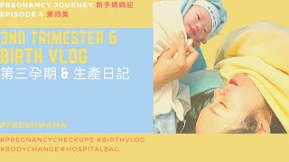 [新手媽媽記] Pregnancy Journey #4- Third Trimester \u0026 birth vlog 第三孕期 \u0026 生產日記