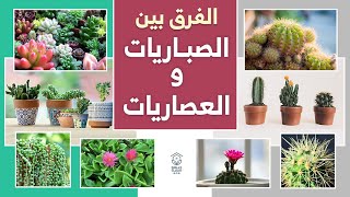 العصاريات والصباريات ، الفرق بينهما،أهم الانواع وطرق العناية والاكثار Succulents and cacti